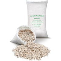 40 Kg White Sunflower Seeds