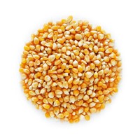 Gin Corn